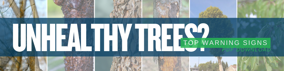 Unhealthy-Trees-Content-CTA